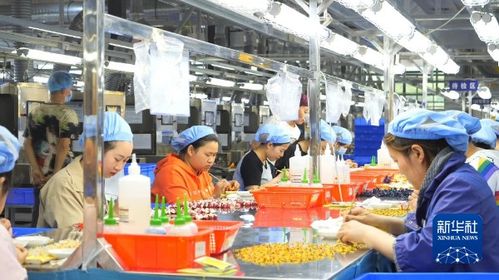 產業引領 繪就強村富民新畫卷——廣播電視節目制作經營的鄉村賦能之路